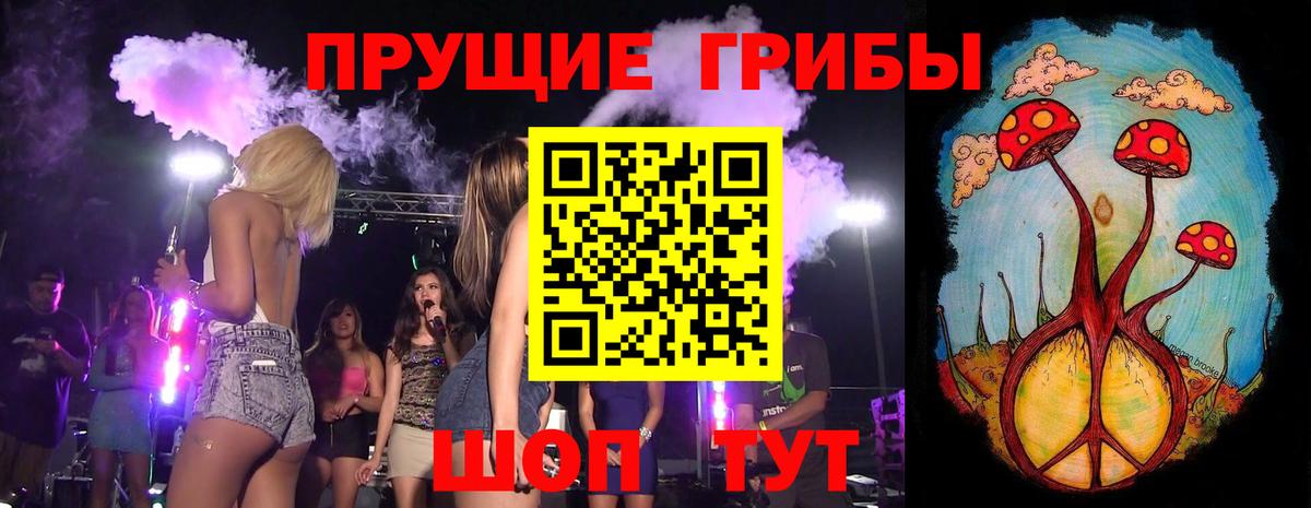 Псилоцибиновые грибы Cubensis  Псилоцибиновые грибы прущие грибы  Углич  Вход с VPN 